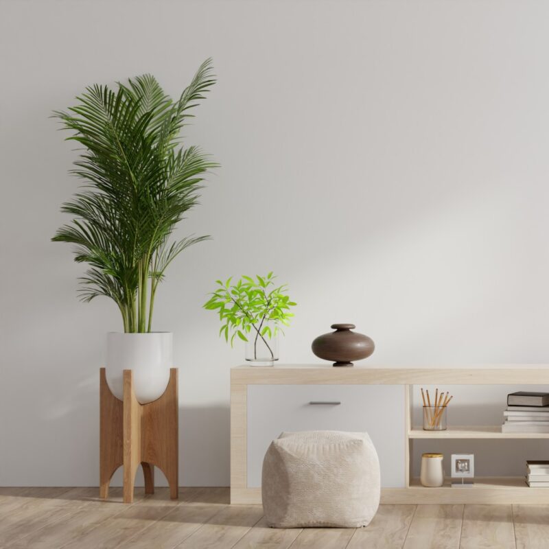 plantas para area interna