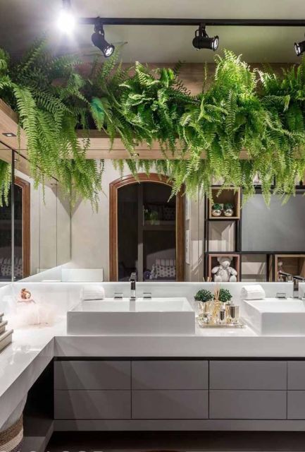 plantas para banheiro escuro