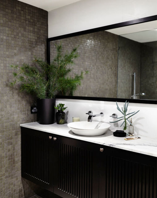 erros comuns ao escolher plantas para banheiro sem janela