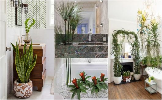 plantas para banheiro pequeno com janela