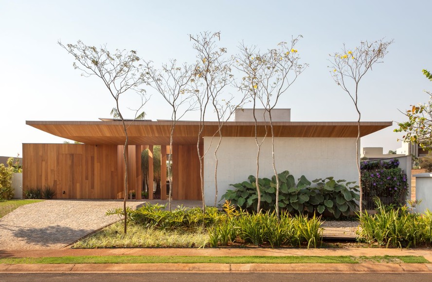 árvores para calçada que não quebram o piso