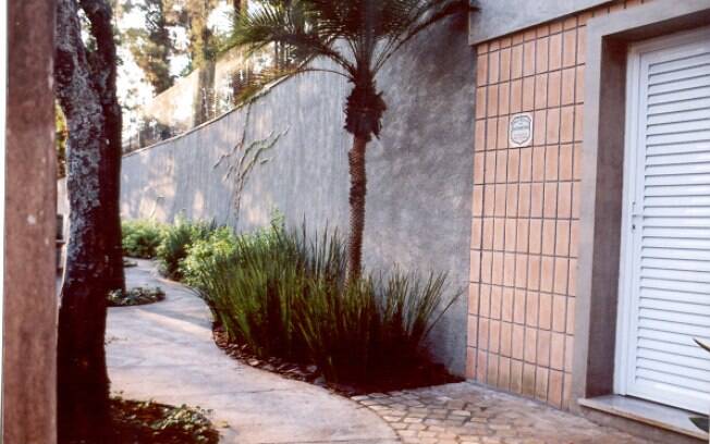 plantas de fácil cuidado para calçadas