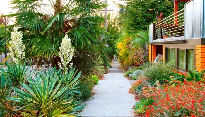 espécies de árvores com raízes profundas para áreas urbanas