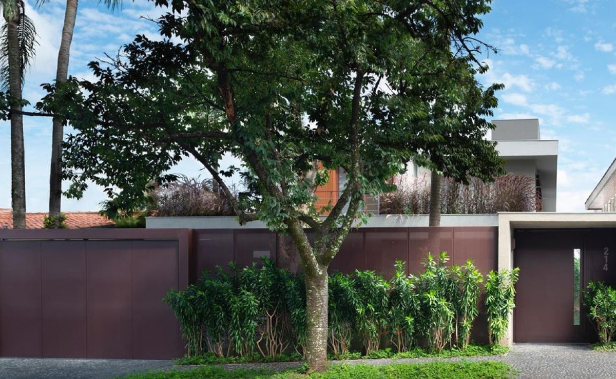 plantas que atraem borboletas para calçadas