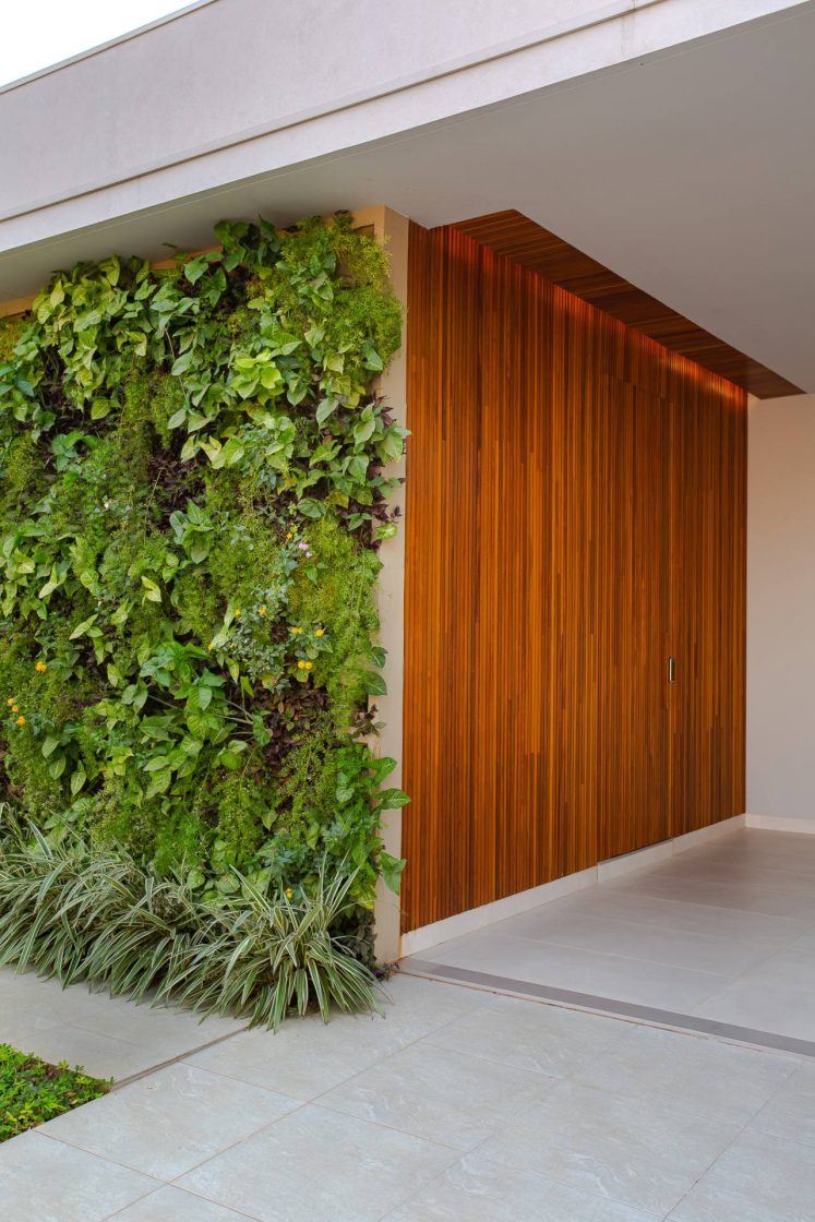 plantas com flores para canteiro de muro