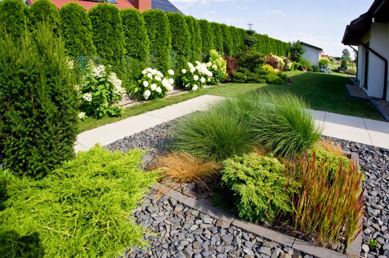 plantas resistentes para muro