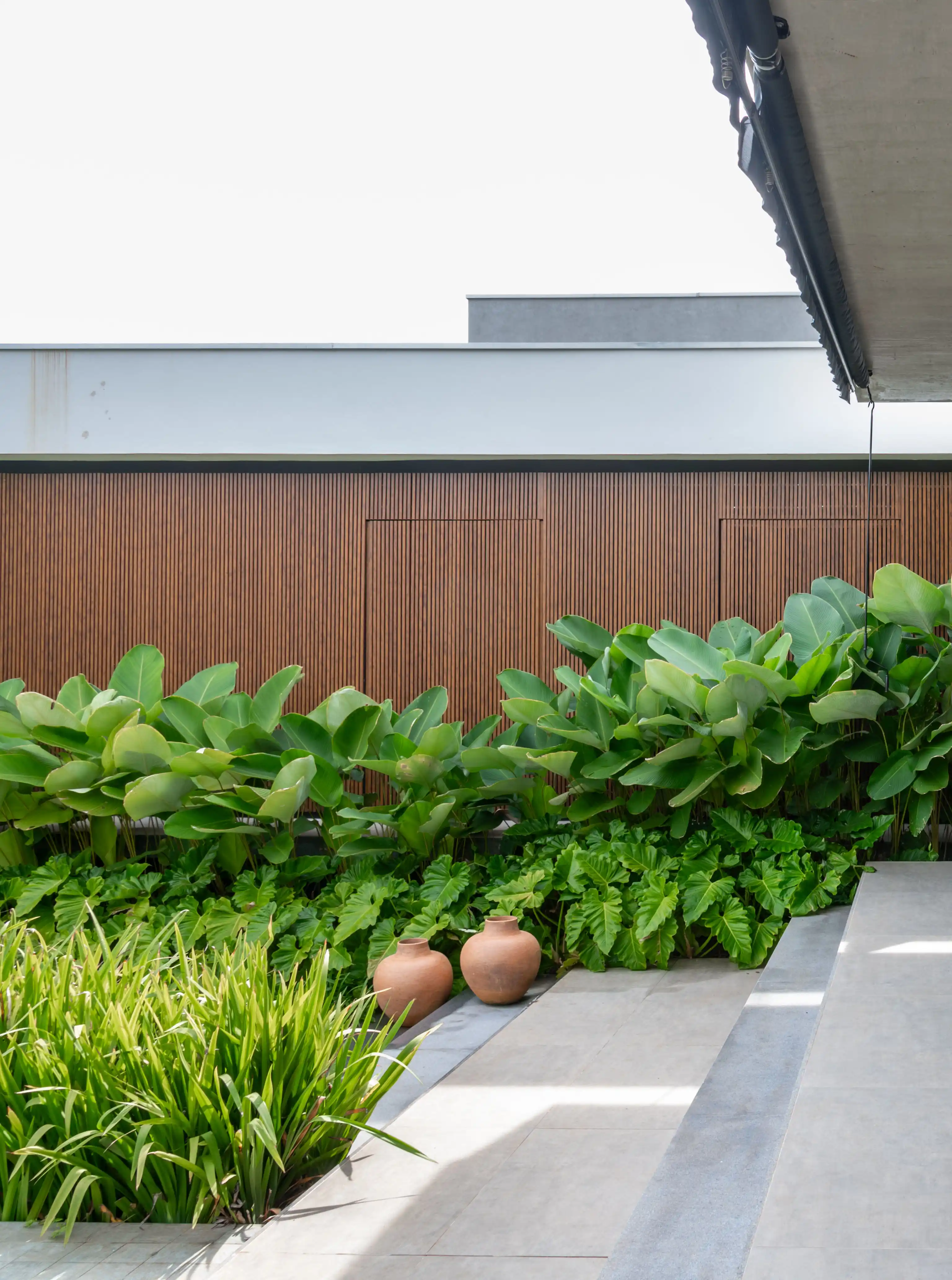 plantas com flores para canteiro de muro