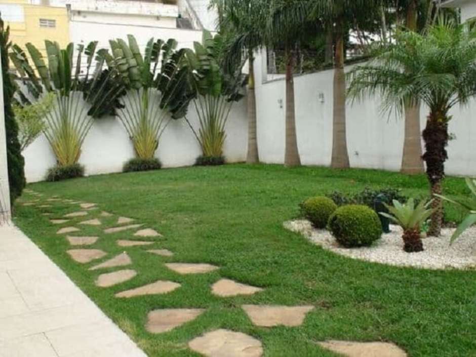 plantas com folhagem para canteiro de muro