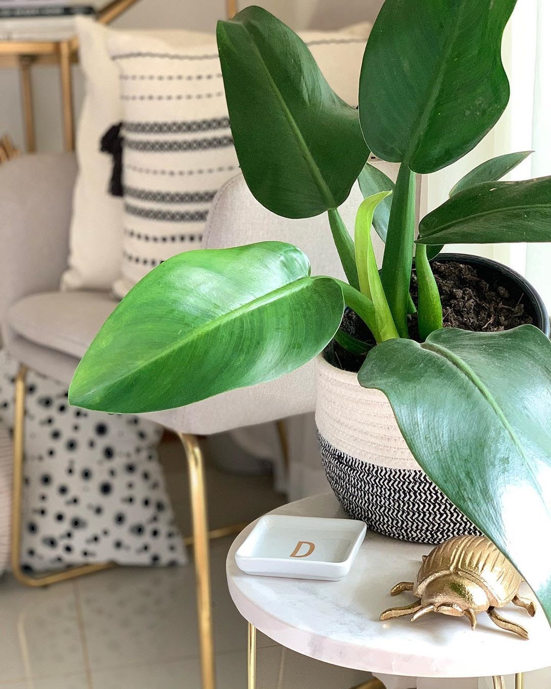 plantas para banheiro sem janela
