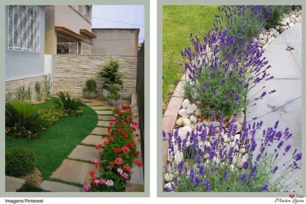 plantas tropicais para fachada