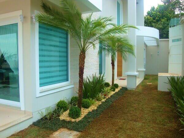 plantas com folhagem para frente de casa