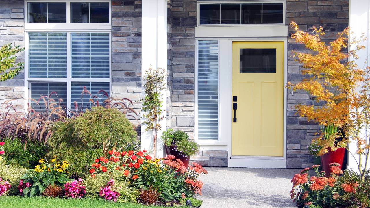 plantas para calçada