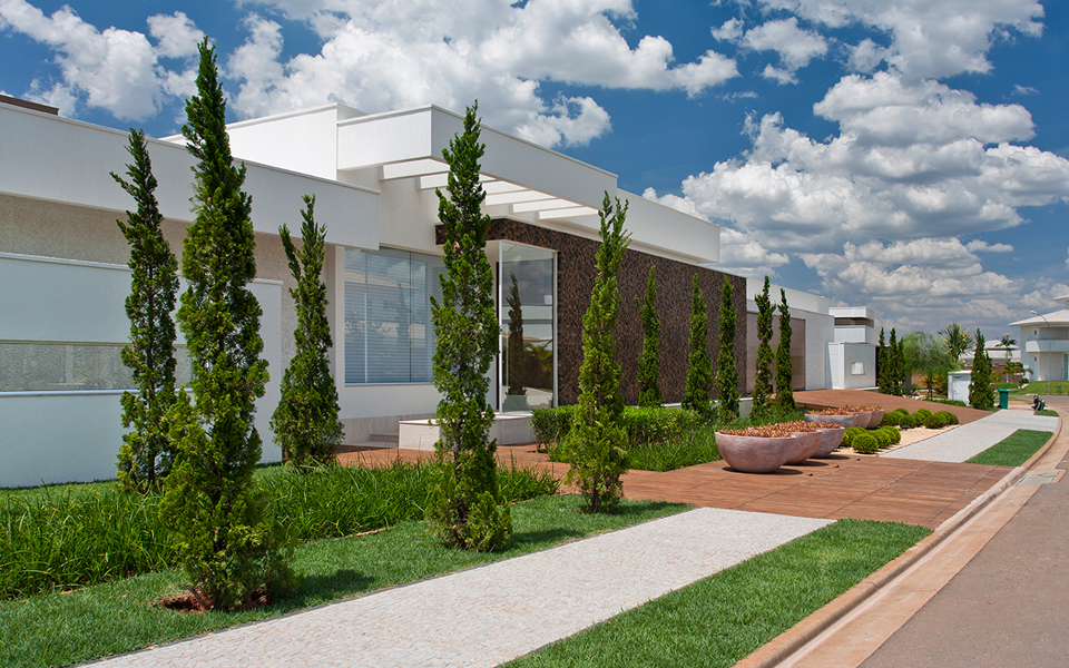 plantas que atraem boas energias para entrada