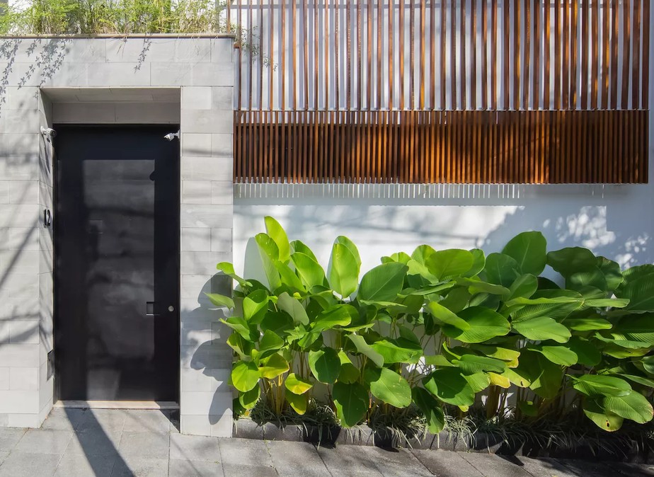 plantas que atraem boas energias para entrada