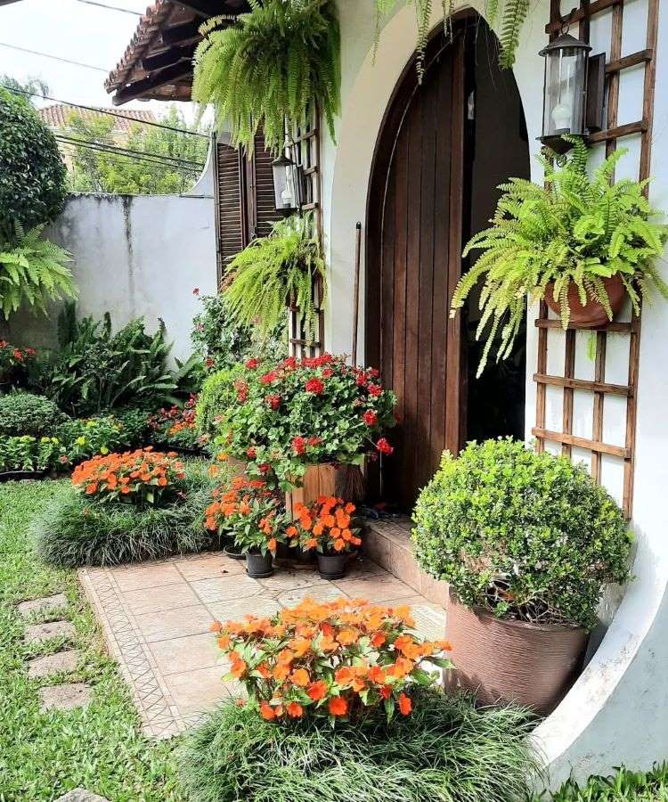 melhores plantas para jardim com pouco sol