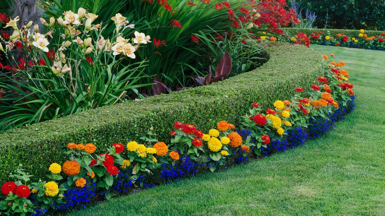 erros comuns ao escolher plantas para jardim