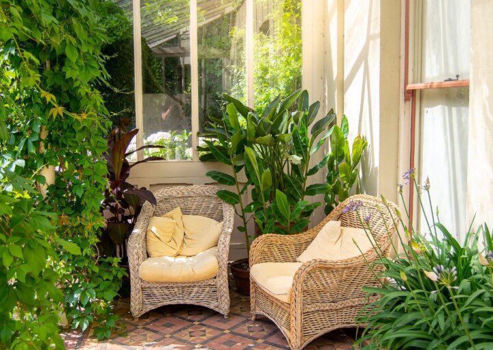 plantas para jardim de inverno pequeno e escuro