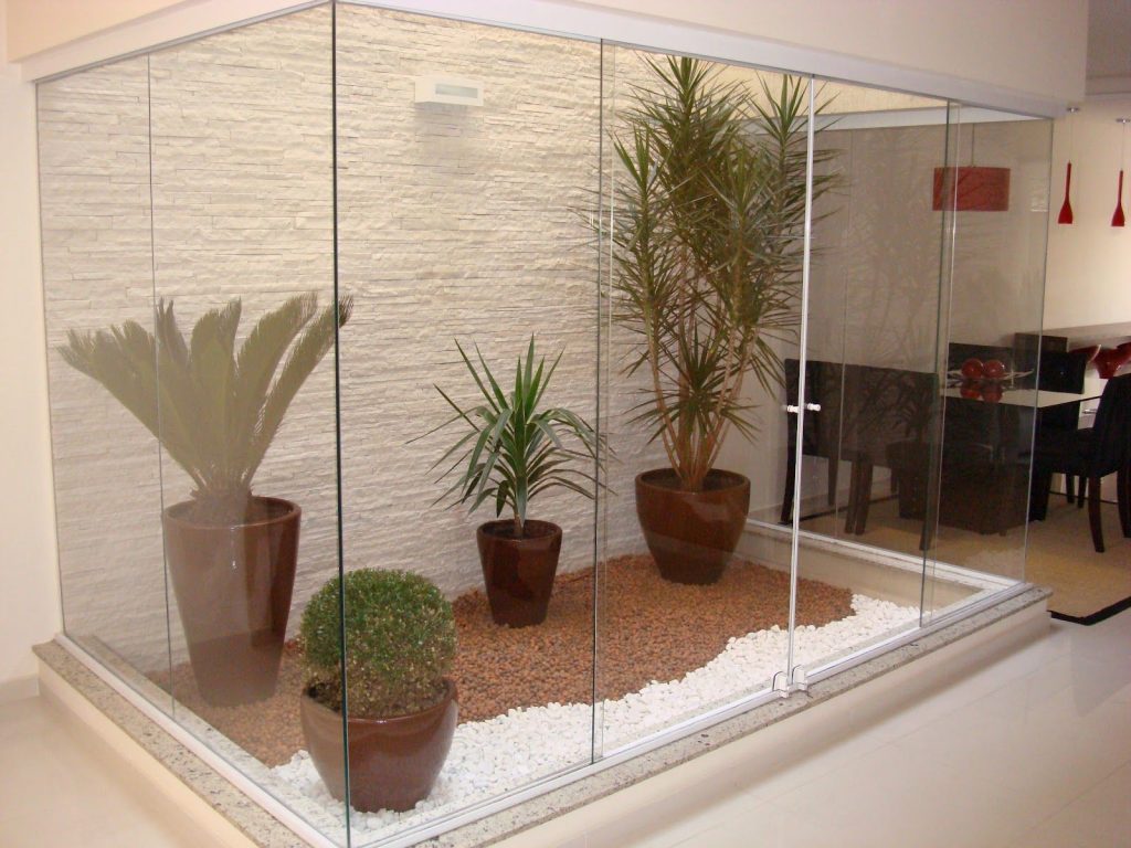 melhores plantas para jardim de inverno com pouca luz