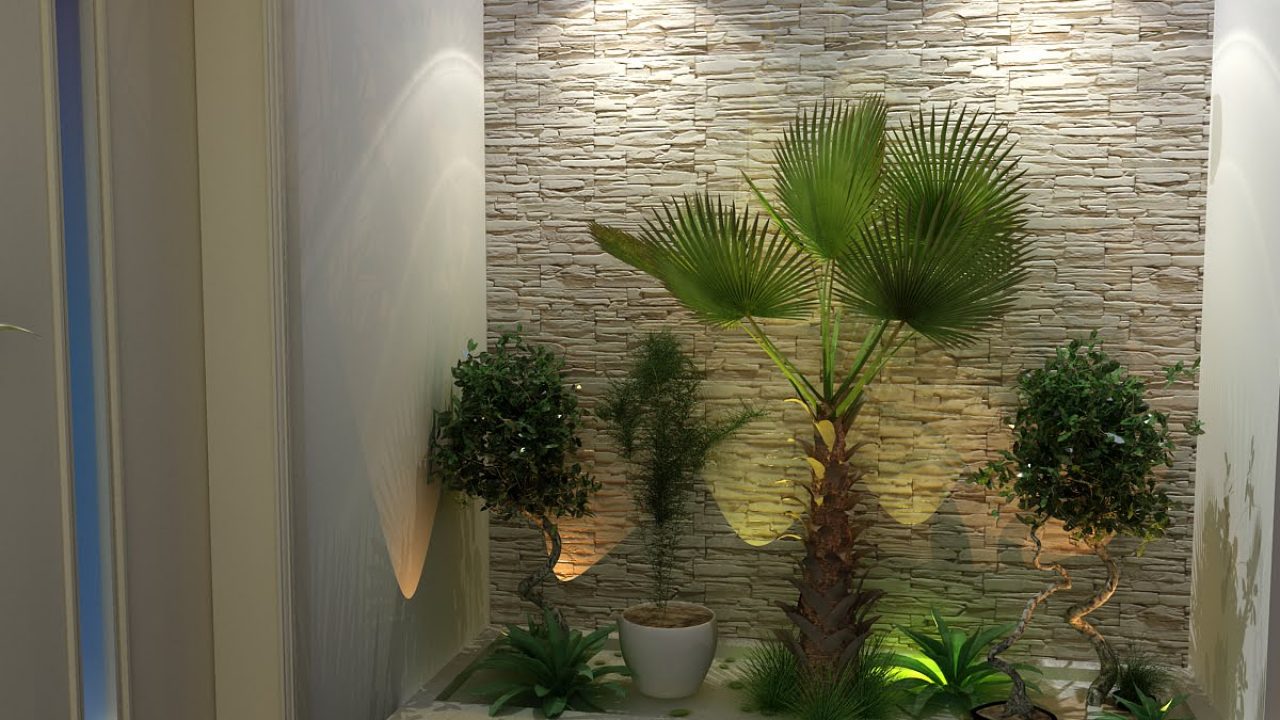 zamioculca vs espada de são jorge para jardim de inverno