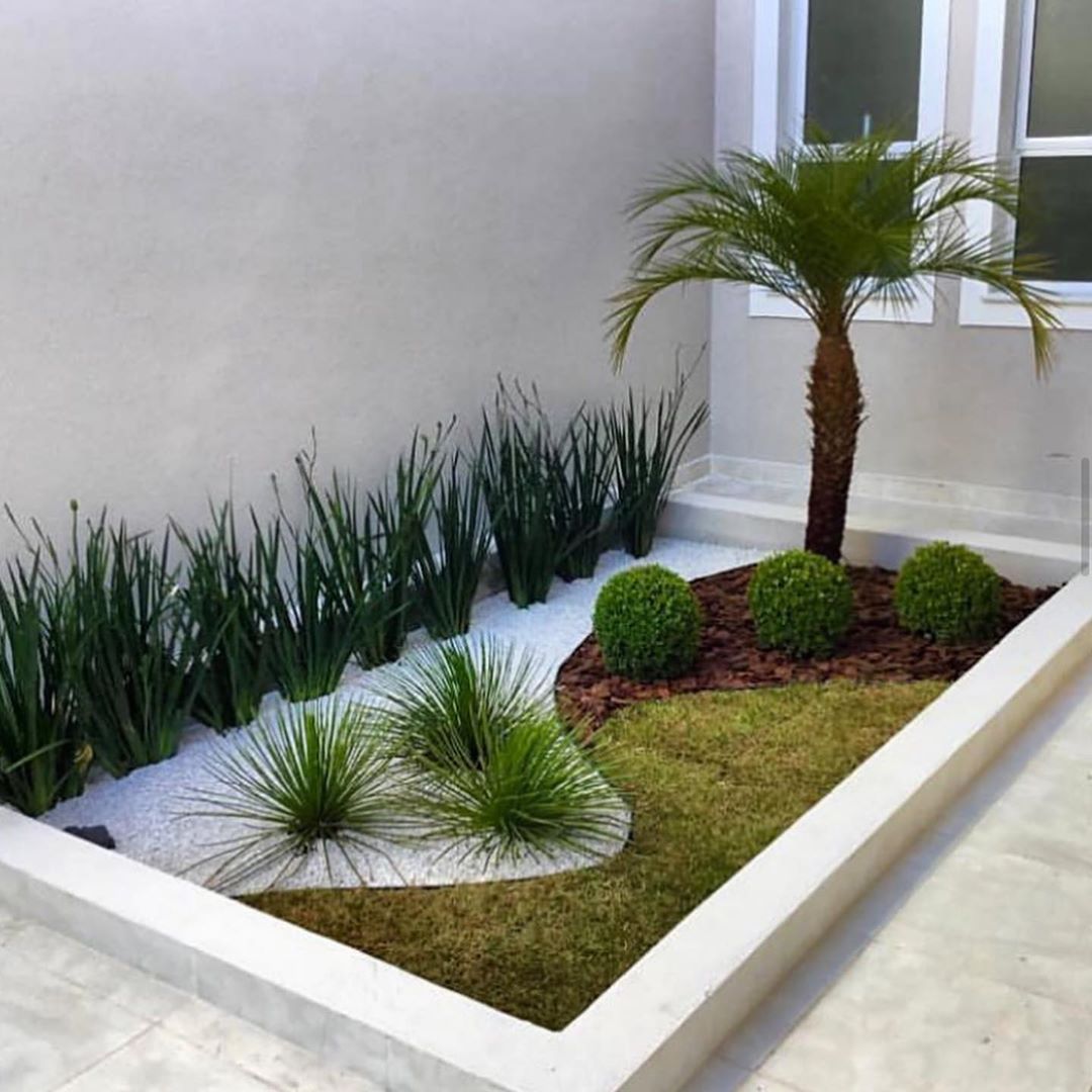 plantas de interior para espaços pequenos