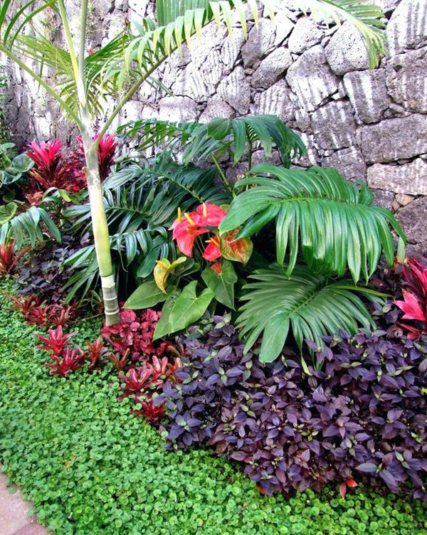 jardim vertical pequeno
