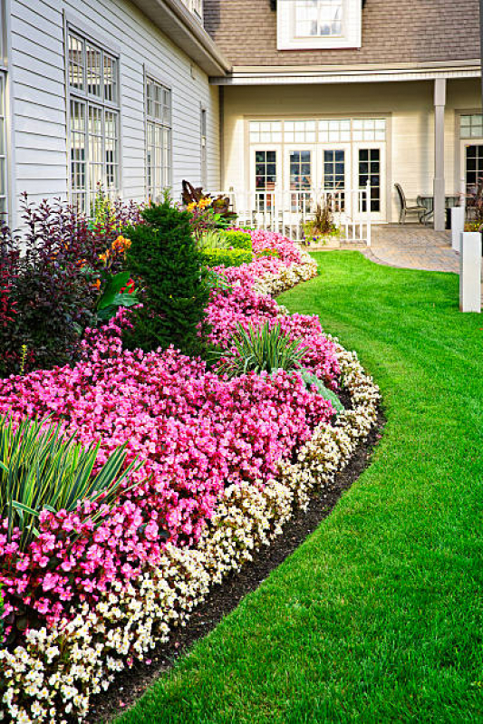 plantas fáceis de cuidar para jardim pequeno