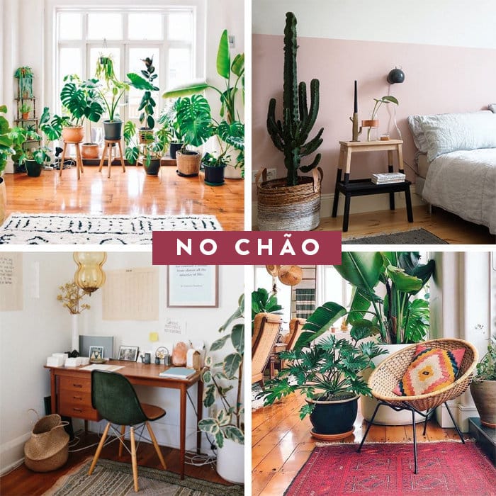 plantas para quarto com pouca luz natural