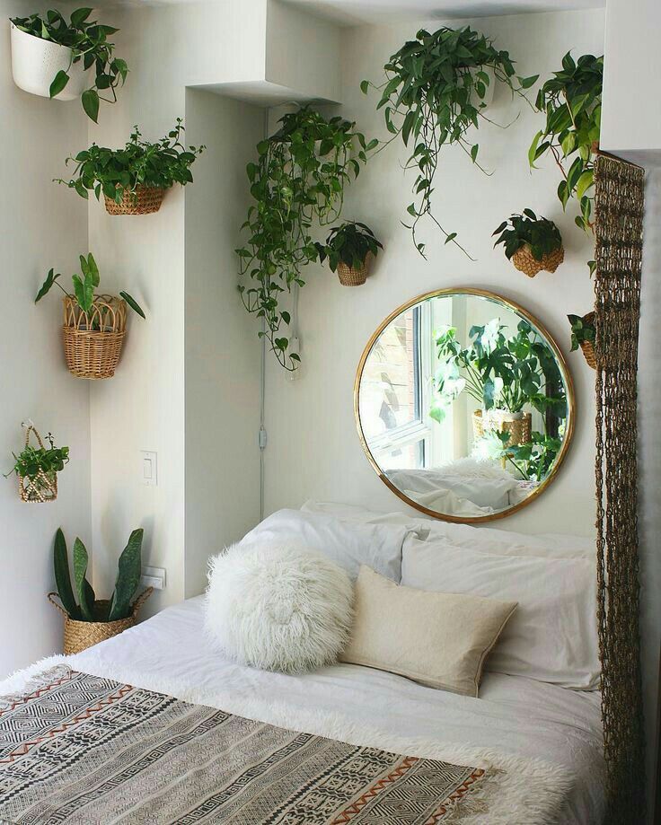 plantas para o quarto