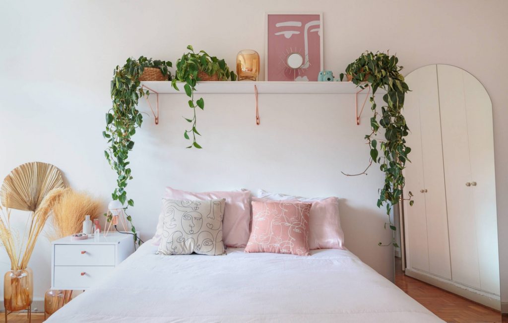 melhores plantas para decorar o quarto