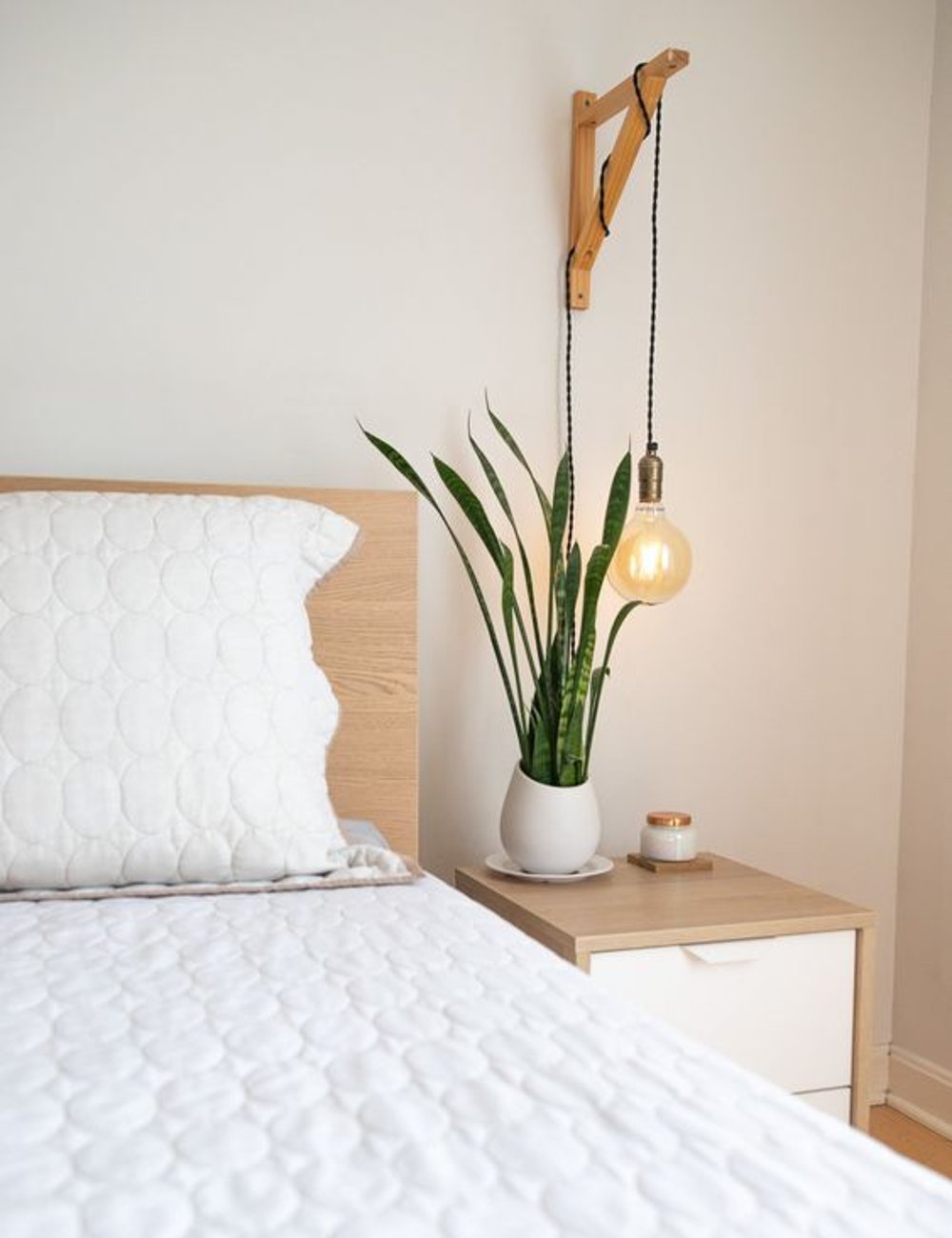 plantas que liberam oxigênio à noite