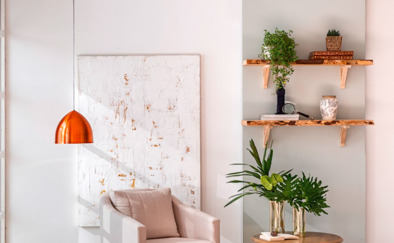 quanto custa uma planta de presente