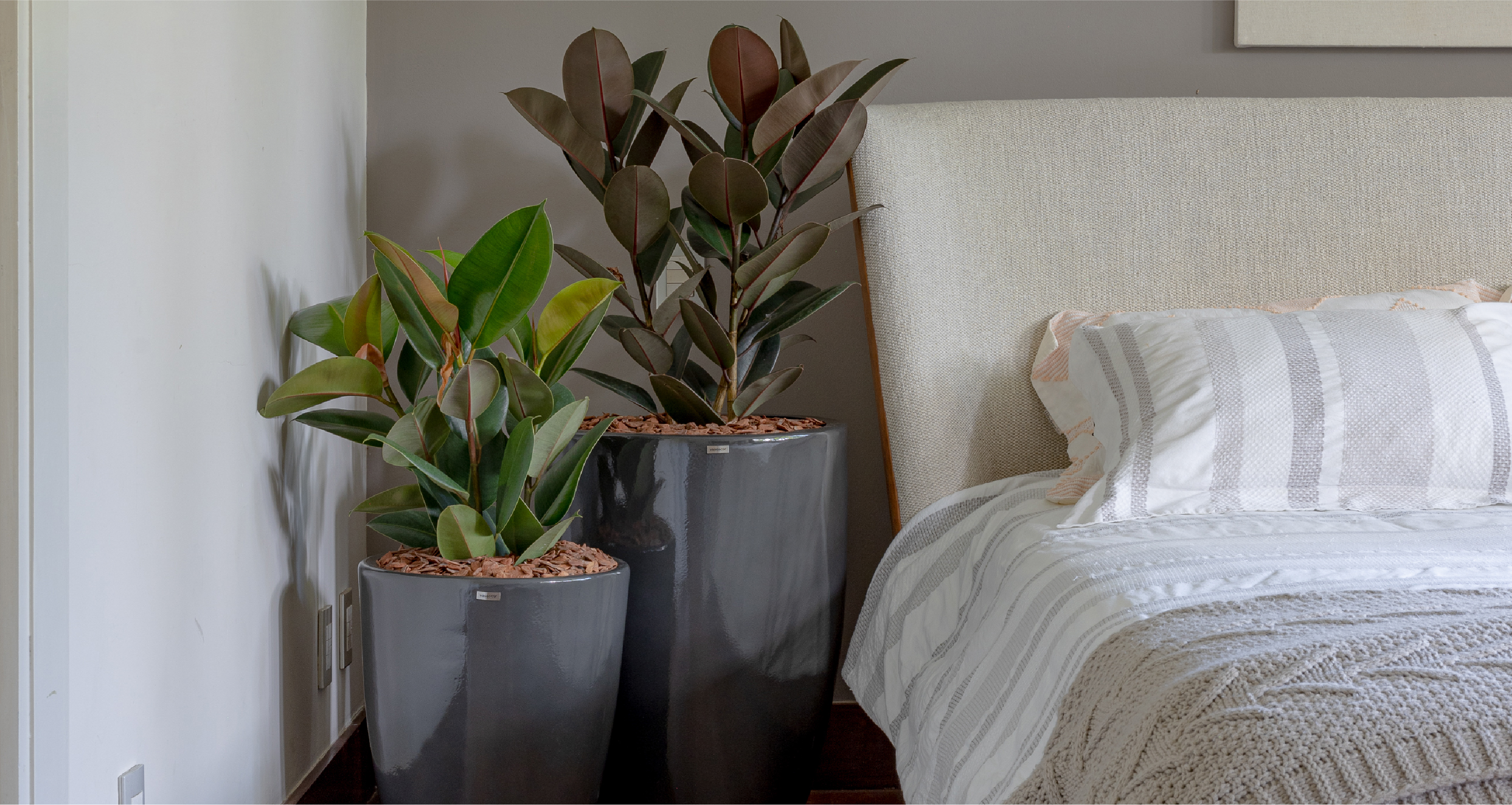plantas para quarto