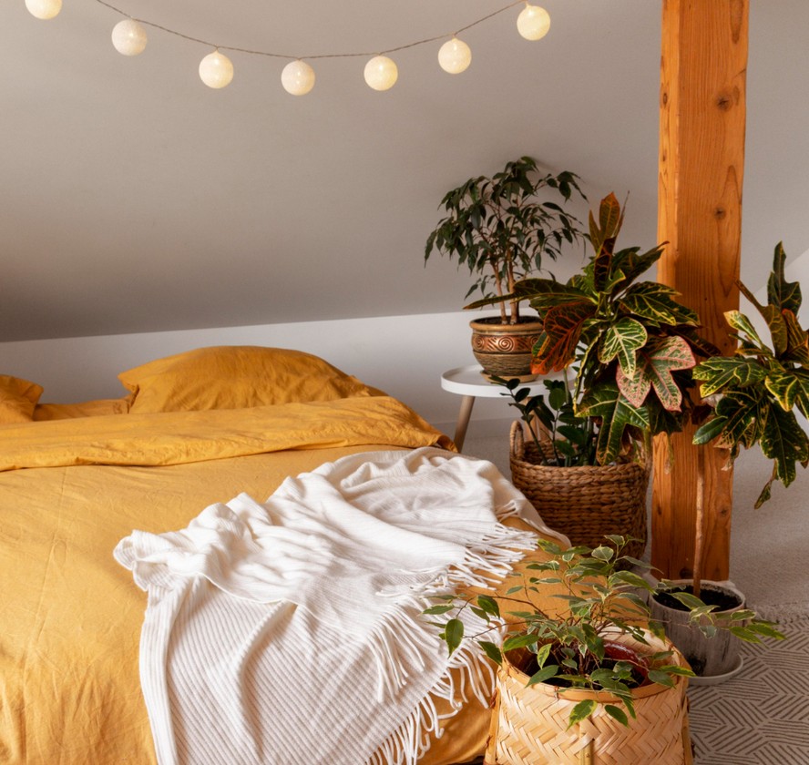 plantas para quarto de casal