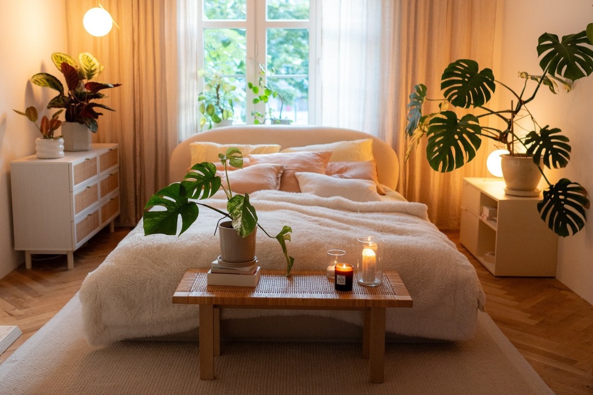 melhores plantas para quarto de casal com pouca luz