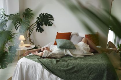 plantas para quarto com pouca luz