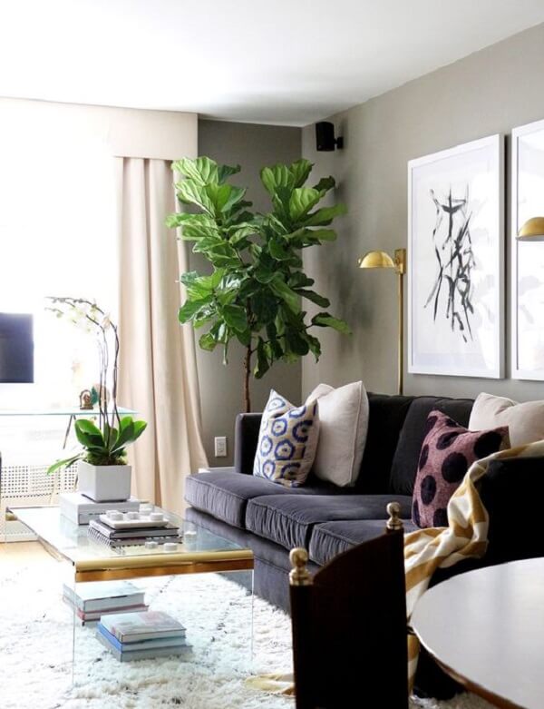 plantas verticais para sala