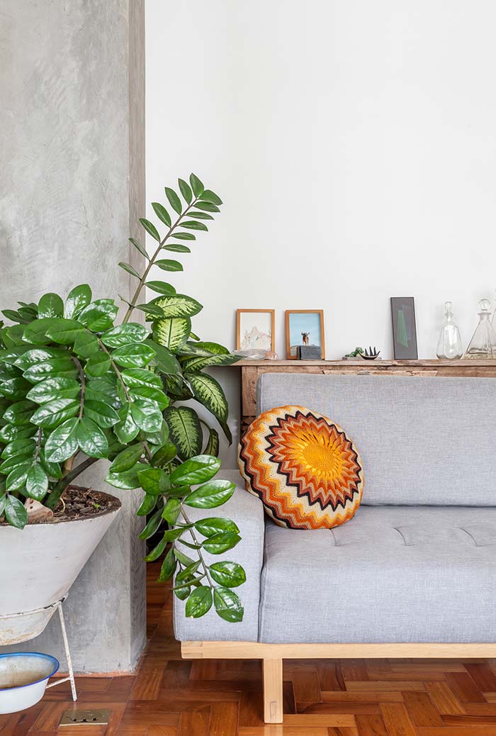plantas decorativas para sala pequena