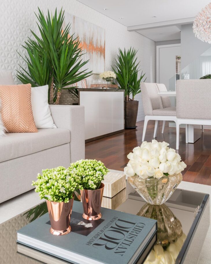 melhores plantas para sala escura