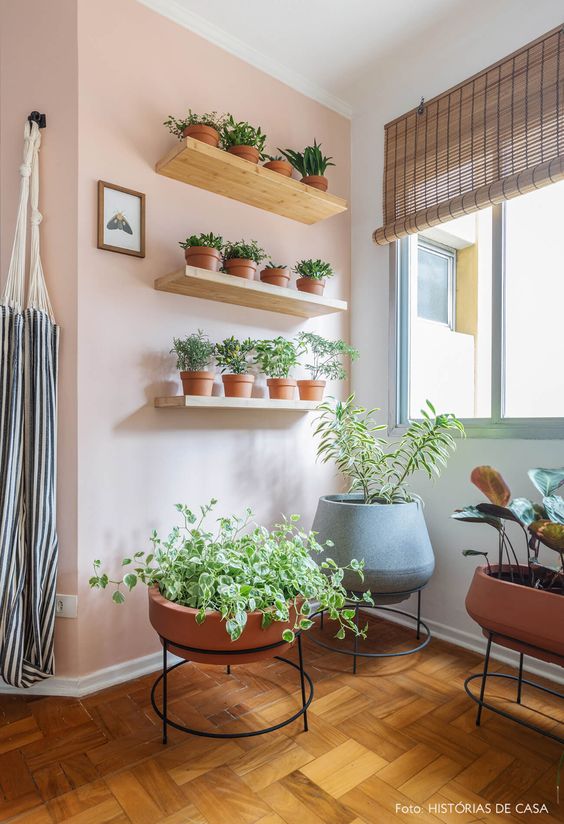plantas purificadoras de ar para sala