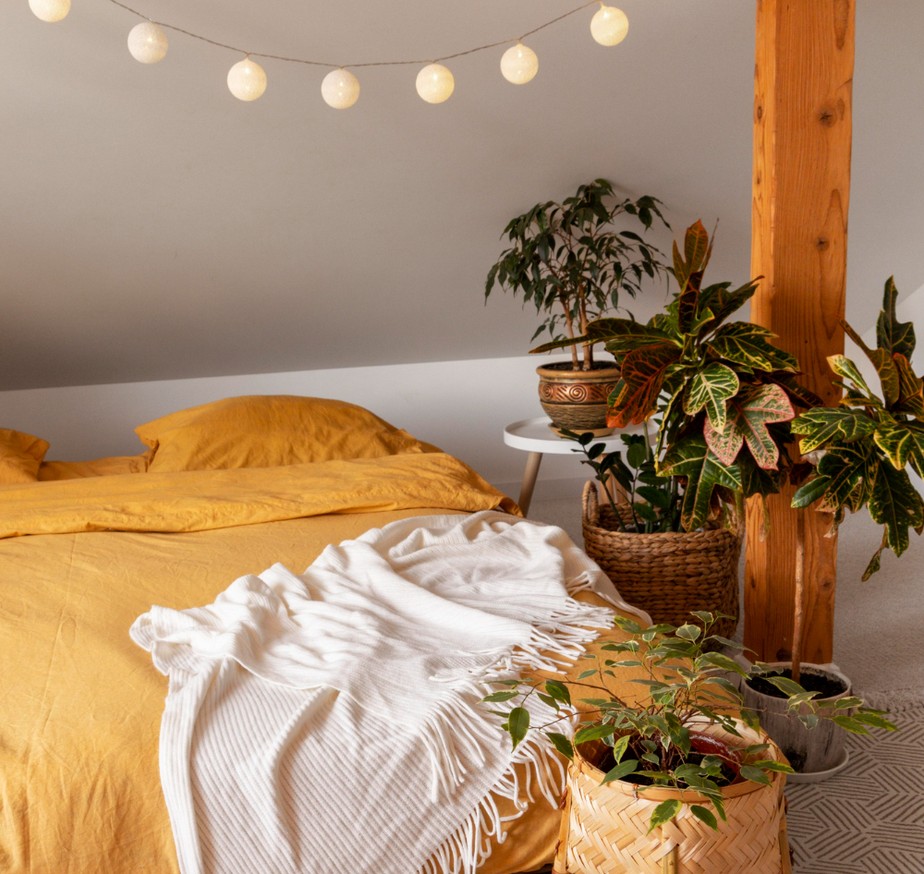 plantas que purificam o ar do quarto