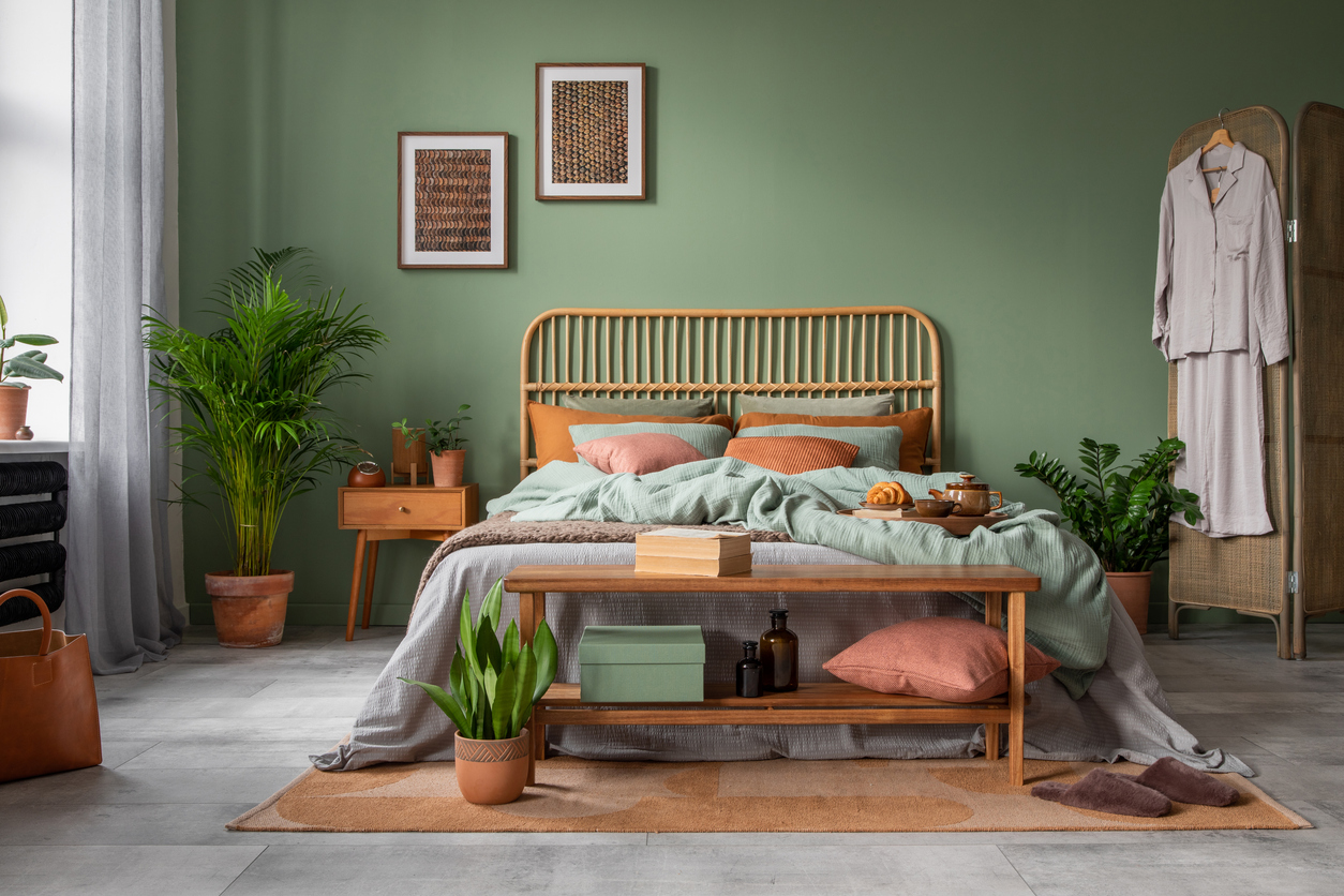 melhores plantas para quarto pequeno e escuro