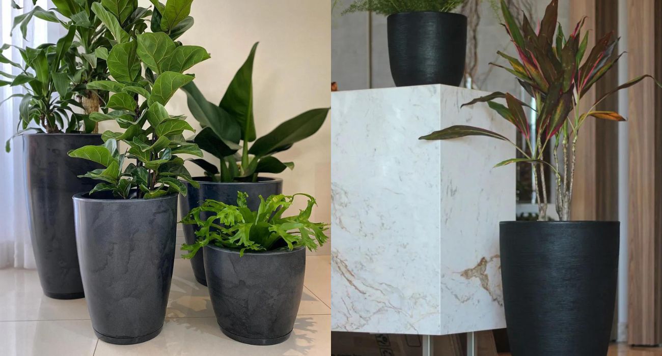 melhores plantas para vasos grandes em salas pequenas