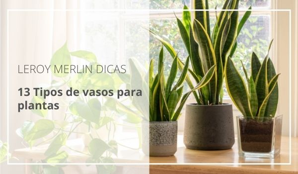 melhores plantas para vasos grandes em salas pequenas