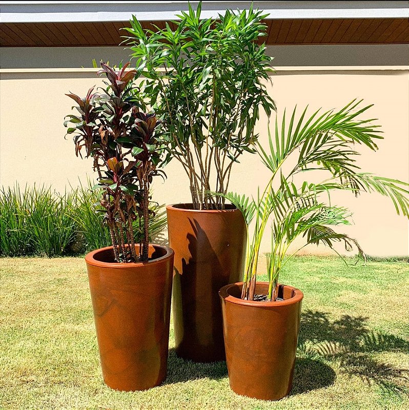 plantas de sombra para vasos externos
