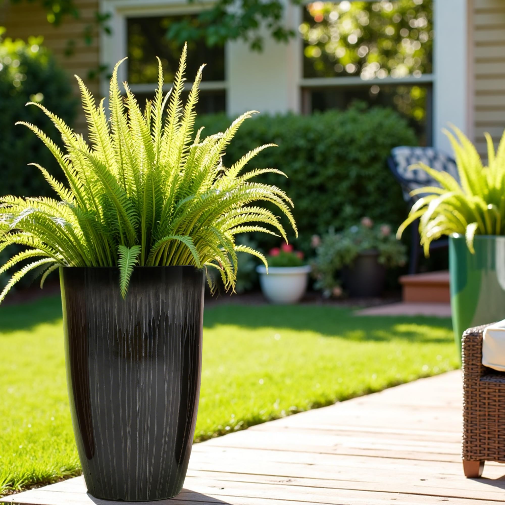 plantas resistentes ao sol para vasos grandes