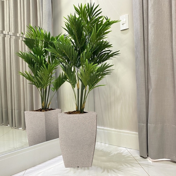 plantas de sombra para vasos externos