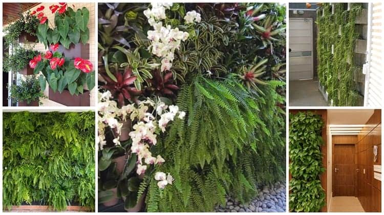 jardim vertical de baixa manutenção sol pleno