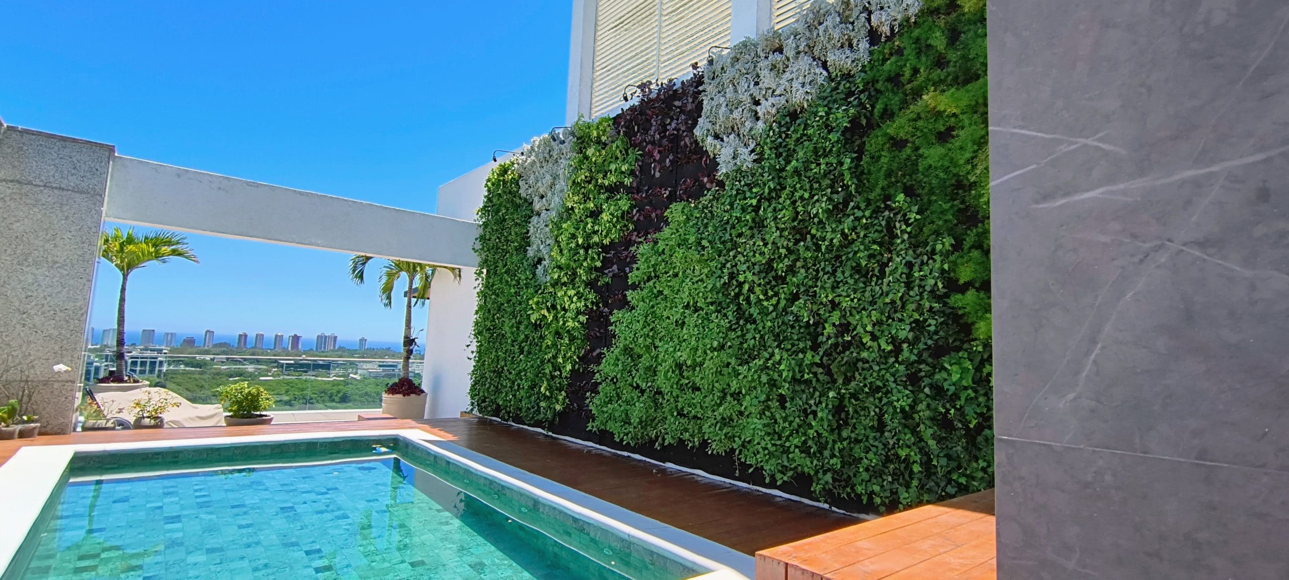 jardim vertical de baixa manutenção sol pleno