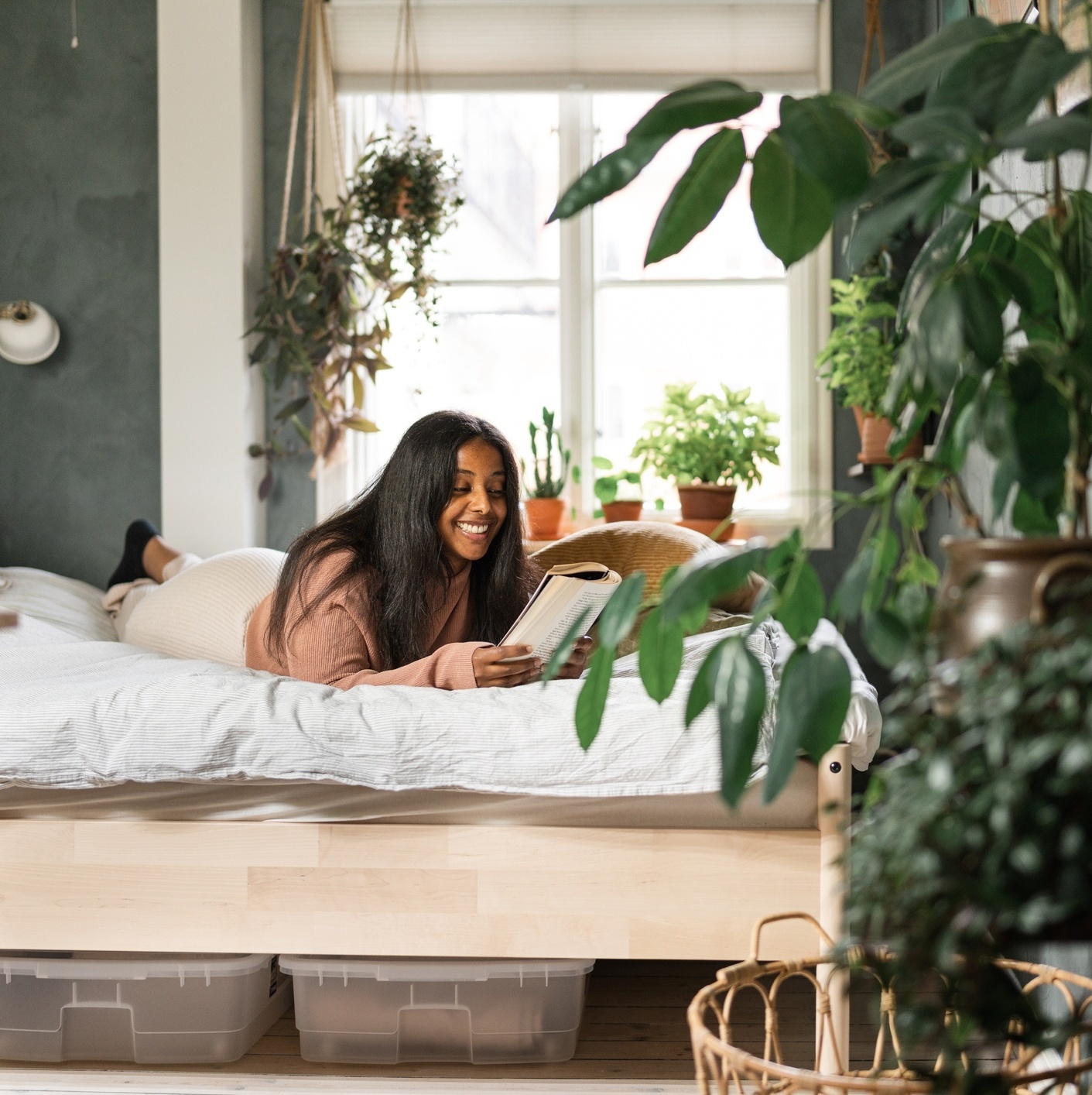 plantas para quarto de casal