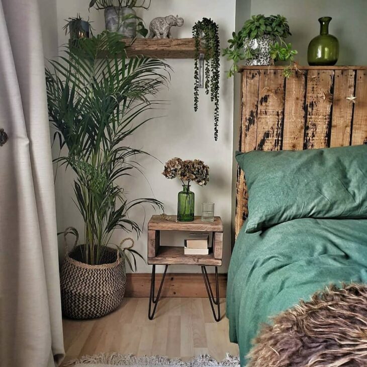 plantas decorativas para quarto